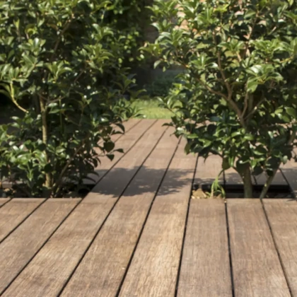 Thermo-treated Bamboo