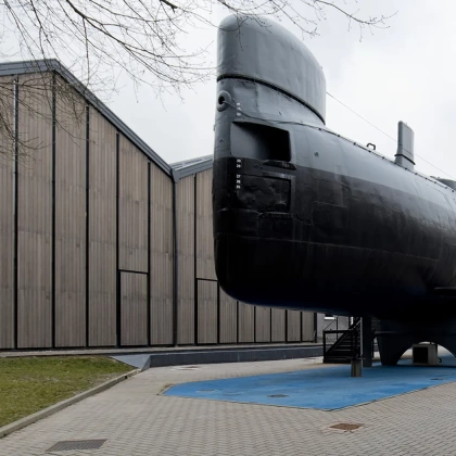 Bamboo Elegance